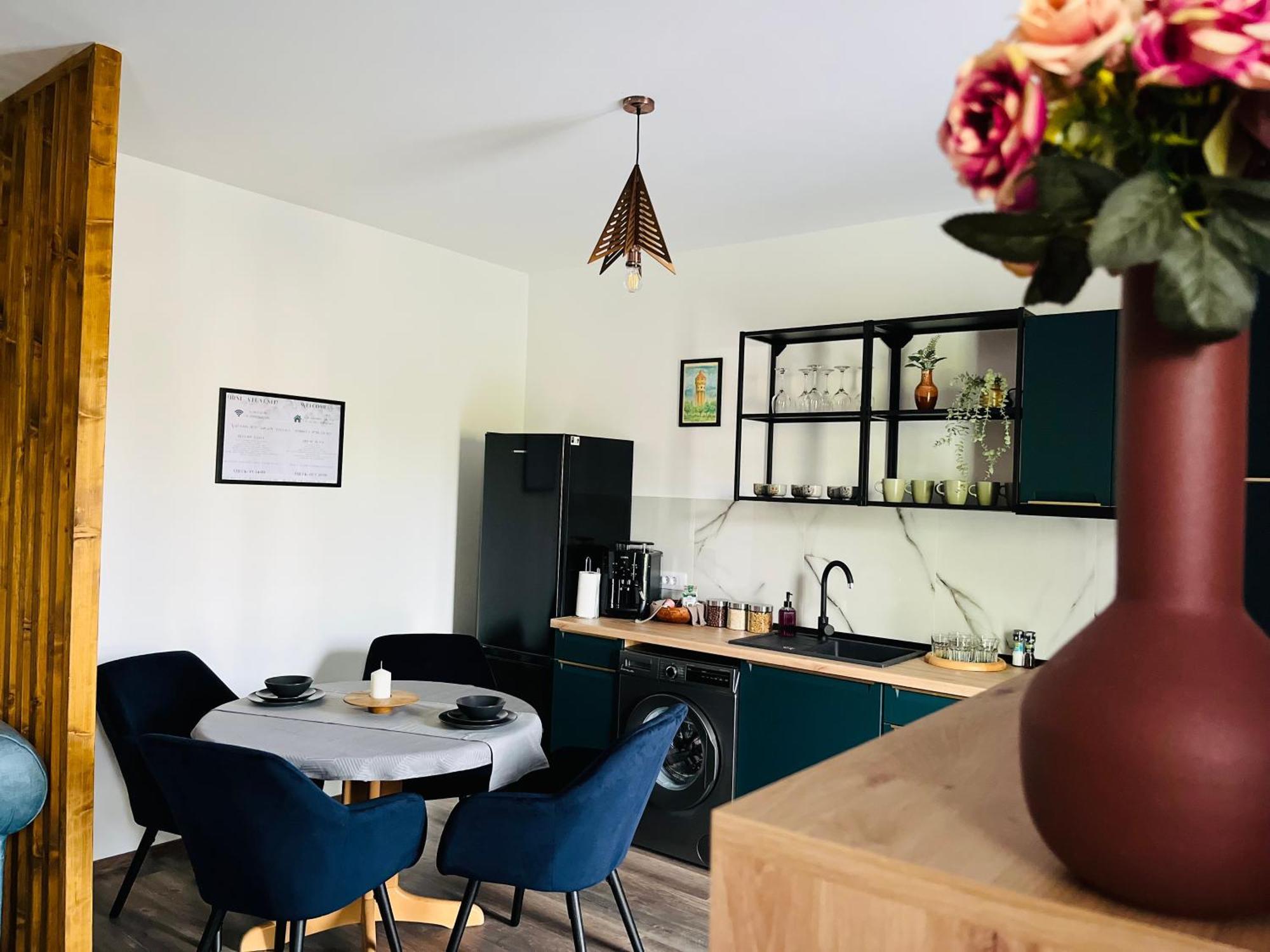 Apartament Studio Bian Timişoara Exterior foto